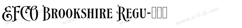 EFCO Brookshire Regu字体转换